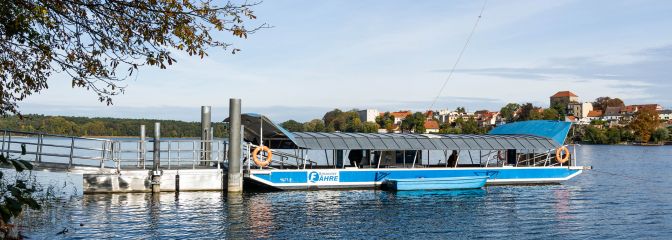 Strausseefähre liegt an der Waldseite
