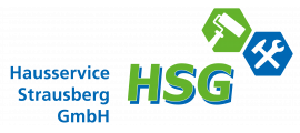 Logo der HSG, mit Blau grünen Akzenten und mit einem grünblauen HSG Schriftzug